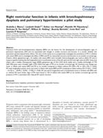 Right ventricular function in infants with bronchopulmonary dysplasia and pulmonary hypertension: a pilot study