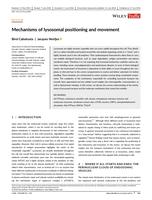 Mechanisms of lysosomal positioning and movement