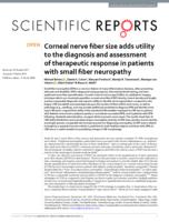 Corneal nerve fiber size adds utility to the diagnosis and assessment of therapeutic response in patients with small fiber neuropathy