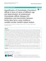 Quantification of Clostridioides (Clostridium) difficile in feces of calves of different age and determination of predominant Clostridioides difficile ribotype 033 relatedness and transmission between family dairy farms using multilocus variable-number ta