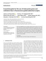 A practical guide for the use of indocyanine green and methylene blue in fluorescence-guided abdominal surgery