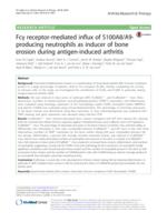 Fc gamma receptor-mediated influx of S100A8/A9-producing neutrophils as inducer of bone erosion during antigen-induced arthritis