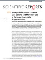 Nanoparticles reveal Extreme Size-Sorting and Morphologies in Complex Coacervate Superstructures