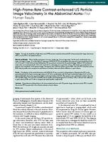 High-Frame-Rate Contrast-enhanced US Particle Image Velocimetry in the Abdominal Aorta: First Human Results