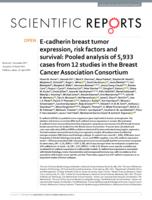 E-cadherin breast tumor expression, risk factors and survival: Pooled analysis of 5,933 cases from 12 studies in the Breast Cancer Association Consortium