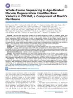 Whole-Exome Sequencing in Age-Related Macular Degeneration Identifies Rare Variants in COL8A1, a Component of Bruch's Membrane