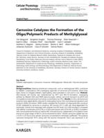 Carnosine Catalyzes the Formation of the Oligo/Polymeric Products of Methylglyoxal