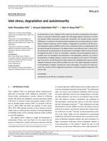 Islet stress, degradation and autoimmunity