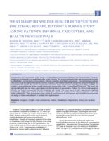 WHAT IS IMPORTANT IN E-HEALTH INTERVENTIONS FOR STROKE REHABILITATION? A SURVEY STUDY AMONG PATIENTS, INFORMAL CAREGIVERS, AND HEALTH PROFESSIONALS