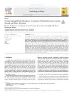 Human lung epithelial cell cultures for analysis of inhaled toxicants: Lessons learned and future directions