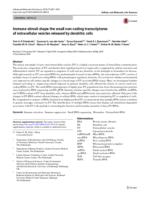 Immune stimuli shape the small non-coding transcriptome of extracellular vesicles released by dendritic cells