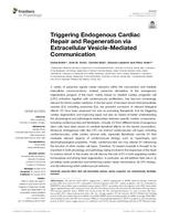 Triggering Endogenous Cardiac Repair and Regeneration via Extracellular Vesicle-Mediated Communication