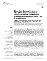 Dissecting Genetic Control of HLA-DPB1 Expression and Its Relation to Structural Mismatch Models in Hematopoietic Stem Cell Transplantation