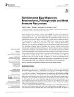Schistosome Egg Migration: Mechanisms, Pathogenesis and Host Immune Responses