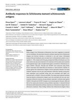 Antibody responses to Schistosoma mansoni schistosomula antigens
