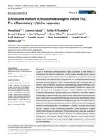 Schistosoma mansoni schistosomula antigens induce Th1/Pro-inflammatory cytokine responses