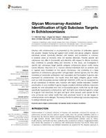 Glycan Microarray-Assisted Identification of IgG Subclass Targets in Schistosomiasis