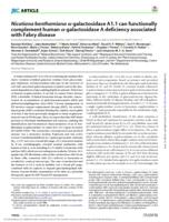 Nicotiana benthamiana -galactosidase A1.1 can functionally complement human -galactosidase A deficiency associated with Fabry disease