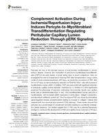 Complement Activation During lschemia/Reperfusion Injury Induces Pericyte-to-Myofibroblast Transdifferentiation Regulating Peritubular Capillary Lumen Reduction Through pERK Signaling