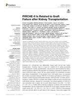 PIRCHE-II Is Related to Graft Failure after Kidney Transplantation