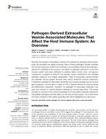 Pathogen-Derived Extracellular Vesicle-Associated Molecules That Affect the Host Immune System: An Overview