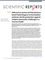 Adenovirus-prime and baculovirus-boost heterologous immunization achieves sterile protection against malaria sporozoite challenge in a murine model