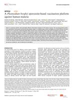 A Plasmodium berghei sporozoite-based vaccination platform against human malaria