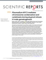 Plasmodium APC3 mediates chromosome condensation and cytokinesis during atypical mitosis in male gametogenesis