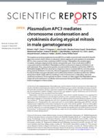 Plasmodium APC3 mediates chromosome condensation and cytokinesis during atypical mitosis in male gametogenesis (vol 8, 5610, 2018)