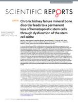 Chronic kidney failure mineral bone disorder leads to a permanent loss of hematopoietic stem cells through dysfunction of the stem cell niche