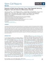 Expansion of Adult Human Pancreatic Tissue Yields Organoids Harboring Progenitor Cells with Endocrine Differentiation Potential