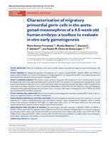 Characterization of migratory primordial germ cells in the aortagonad-mesonephros of a 4.5-week-old human embryo: a toolbox to evaluate in vitro early gametogenesis