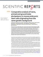 Comparative analysis of naive, primed and ground state pluripotency in mouse embryonic stem cells originating from the same genetic background