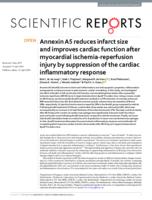 Annexin A5 reduces infarct size and improves cardiac function after myocardial ischemia-reperfusion injury by suppression of the cardiac inflammatory response