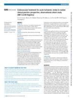 Endovascular treatment for acute ischaemic stroke in routine clinical practice: prospective, observational cohort study (MR CLEAN Registry)