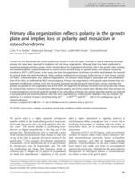 Primary cilia organization reflects polarity in the growth plate and implies loss of polarity and mosaicism in osteochondroma