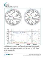 mRNA expression profiles of primary high-grade central osteosarcoma are preserved in cell lines and xenografts