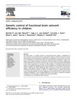 Genetic control of functional brain network efficiency in children