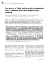 Expression of ERG, an Ets family transcription factor, identifies ERG-rearranged Ewing sarcoma