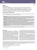 Tumour budding is associated with the mesenchymal colon cancer subtype and RAS/RAF mutations: a study of 1320 colorectal cancers with Consensus Molecular Subgroup (CMS) data