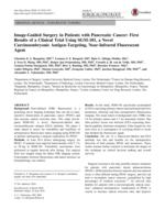 Image-Guided Surgery in Patients with Pancreatic Cancer: First Results of a Clinical Trial Using SGM-101, a Novel Carcinoembryonic Antigen-Targeting, Near-Infrared Fluorescent Agent