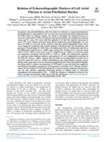 Relation of Echocardiographic Markers of Left Atrial Fibrosis to Atrial Fibrillation Burden