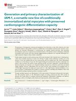 Generation and primary characterization of iAM-1, a versatile new line of conditionally immortalized atrial myocytes with preserved cardiomyogenic differentiation capacity