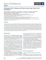 Pathological ASXL1 Mutations and Protein Variants Impair Neural Crest Development