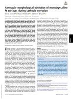 Nanoscale morphological evolution of monocrystalline Pt surfaces during cathodic corrosion