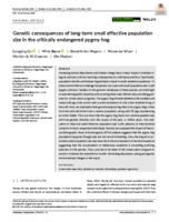 Genetic consequences of long‐term small effective population size in the critically endangered pygmy hog