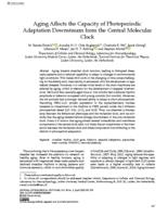 Aging affects the capacity of photoperiodic adaptation downstream from the central molecular clock