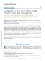 Microanatomy of the human atherosclerotic plaque by single-cell transcriptomics