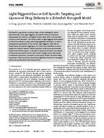 Light‐triggered cancer cell specific targeting and liposomal drug delivery in a zebrafish xenograft model