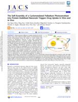 The Self-Assembly of a Cyclometalated Palladium Photosensitizer into Protein-Stabilized Nanorods Triggers Drug Uptake In Vitro and In Vivo